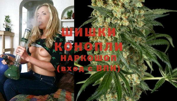 ГАЛЛЮЦИНОГЕННЫЕ ГРИБЫ Бежецк