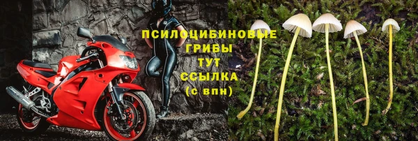 мдпв Нягань