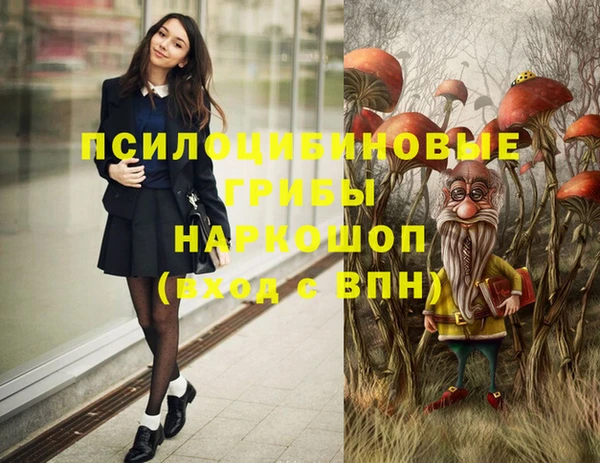 марки lsd Няндома