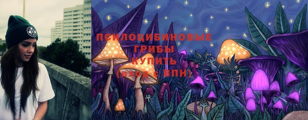 мдпв Нягань