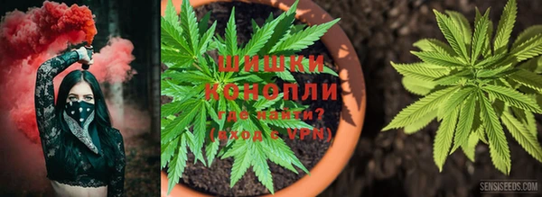 мдпв Нягань