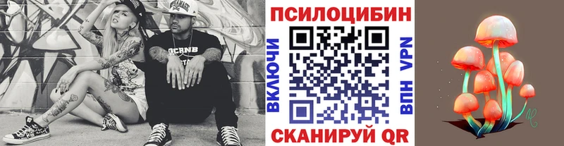 это клад  Лодейное Поле  Псилоцибиновые грибы мицелий 